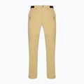 Pantaloni da trekking Patagonia Point Peak Trail-Regular classic tan per uomo 11
