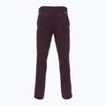 Pantaloni da trekking Patagonia Point Peak Trail-Regular ossidiana prugna da uomo 2