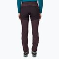 Pantaloni da trekking Patagonia Point Peak Trail-Regular donna in ossidiana prugna 3