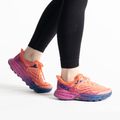Scarpe da corsa da donna HOKA Speedgoat 5 festival fucsia/camelia 3