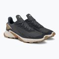 Scarpe da corsa da uomo Salomon Alphacross 4 ebony/rainy day/phantm 4
