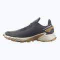 Scarpe da corsa da uomo Salomon Alphacross 4 ebony/rainy day/phantm 12