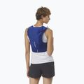 Il set di gilet da corsa Salomon ADV Skin 12 naviga sul web 3