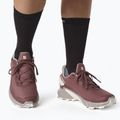 Scarpe da corsa da donna Salomon Alphacross 4 GTX wild ginger/ashe 2
