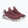 Scarpe da corsa da donna Salomon Alphacross 4 GTX wild ginger/ashe 6