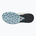 Stivali da trekking da donna Salomon Outrise GTX grigio piuma/bl/starg 16