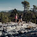 Scarpe da trekking da donna Salomon X Ultra 4 GTX stargazer/carbon/st 14