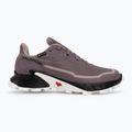 Salomon Alphacross 5 GTX scarpe da corsa donna moonscape/nero/bianco 2