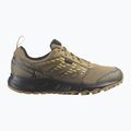 Scarpe da corsa da uomo Salomon Wander GTX anthro/center/athmos 9