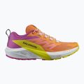 Salomon Sense Ride 5 scarpe da corsa donna bird of paradise/bianco/zolfo primavera 9