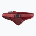 Salomon Active Belt 3D Bottle cintura da corsa ad alto rischio rosso/rosso dalia 2