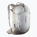 Zaino da trekking Salomon Trailblazer 30 l cachi/grigio ghiaccio