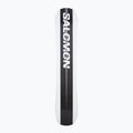 Snowboard da uomo Salomon Assassin 3