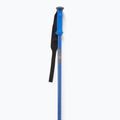 Salomon Polar Pro bastoncini da sci da gara blu 2