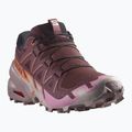 Salomon Speedcross 6 scarpe da corsa donna catawba grape/papaya/deauville mauve 8
