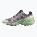 Salomon Speedcross 6 scarpe da corsa da donna castlerock/vanilla ice/smoke green 9