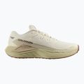 Salomon Thundercross scarpe da corsa uomo asfalto/pelle di squalo/spray 8