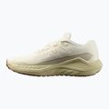 Salomon Thundercross scarpe da corsa uomo asfalto/pelle di squalo/spray 9