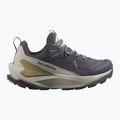 Scarpe da trekking da donna Salomon Elixir GTX 9 nove ferro/nuvola d'argento/spugna 9