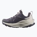 Scarpe da trekking da donna Salomon Elixir GTX 9 nove ferro/nuvola d'argento/spugna 10