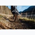 Scarpe da trekking da donna Salomon X ULTRA 360 LTR GTX cognac/peppercorn/black 11