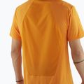 Maglietta Salomon Outline Tee Uomo color curcuma 3