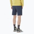 Pantaloncini da uomo Salomon Wayfarer Ease blue nights 2