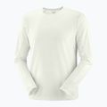 Salomon SHAKEout Core icicle running longsleeve da uomo 4