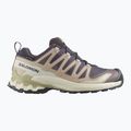 Scarpe da corsa donna Salomon XA Pro 3D V9 GTX nine iron/oxford tan