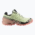 Scarpe da corsa da donna Salomon Speedcross 6 GTX lime cream/mahogany rose/black 9