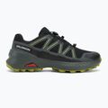 Scarpe da corsa da uomo Salomon Speedcross Peak GTX black/urban chic/dark citron 2