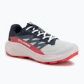 Scarpe da corsa da donna Salomon Alphaglide GTX lunar rock/blue night/rouge red