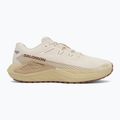 Scarpe da corsa da uomo Salomon Drx Defy GRVL vanilla ice/green haze/white pepper 2
