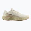 Scarpe da corsa da uomo Salomon Drx Defy GRVL vanilla ice/green haze/white pepper 8