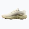 Scarpe da corsa da uomo Salomon Drx Defy GRVL vanilla ice/green haze/white pepper 9