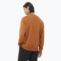 Felpa uomo Salomon Logo Crewneck sierra 2