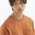 Felpa uomo Salomon Logo Crewneck sierra 3