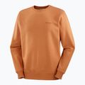 Felpa uomo Salomon Logo Crewneck sierra 5