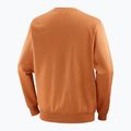 Felpa uomo Salomon Logo Crewneck sierra 6