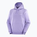 Felpa con cappuccio Salomon Logo Uomo viola tulipano 3