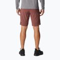 Pantaloncini da trekking Columbia Titan Pass light raisin da uomo 2