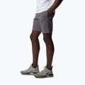 Pantaloncini da trekking Columbia Logo Fleece city grigio erica da uomo 3