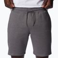 Pantaloncini da trekking Columbia Logo Fleece city grigio erica da uomo 5