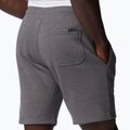 Pantaloncini da trekking Columbia Logo Fleece city grigio erica da uomo 6