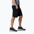 Columbia Triple Canyon II pantaloncini da trekking da uomo, nero 4