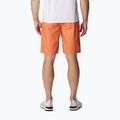 Pantaloncini da trekking Columbia Washed Out arancione deserto da uomo 2