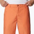 Pantaloncini da trekking Columbia Washed Out arancione deserto da uomo 4