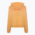 Felpa trekking donna Columbia Logo III French Terry pesca geranio selvatico 5