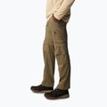 Pantaloni da trekking Columbia Silver Ridge Utility Convertible verde pietra da uomo 3