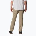 Pantaloni da trekking Columbia Silver Ridge Utility tusk da uomo 2